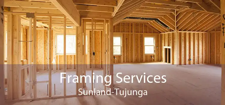 Framing Services Sunland-Tujunga